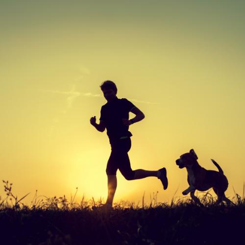 Que tal uma companhia para praticar exercícios físicos? Que tal uma companhia para praticar exercícios físicos?